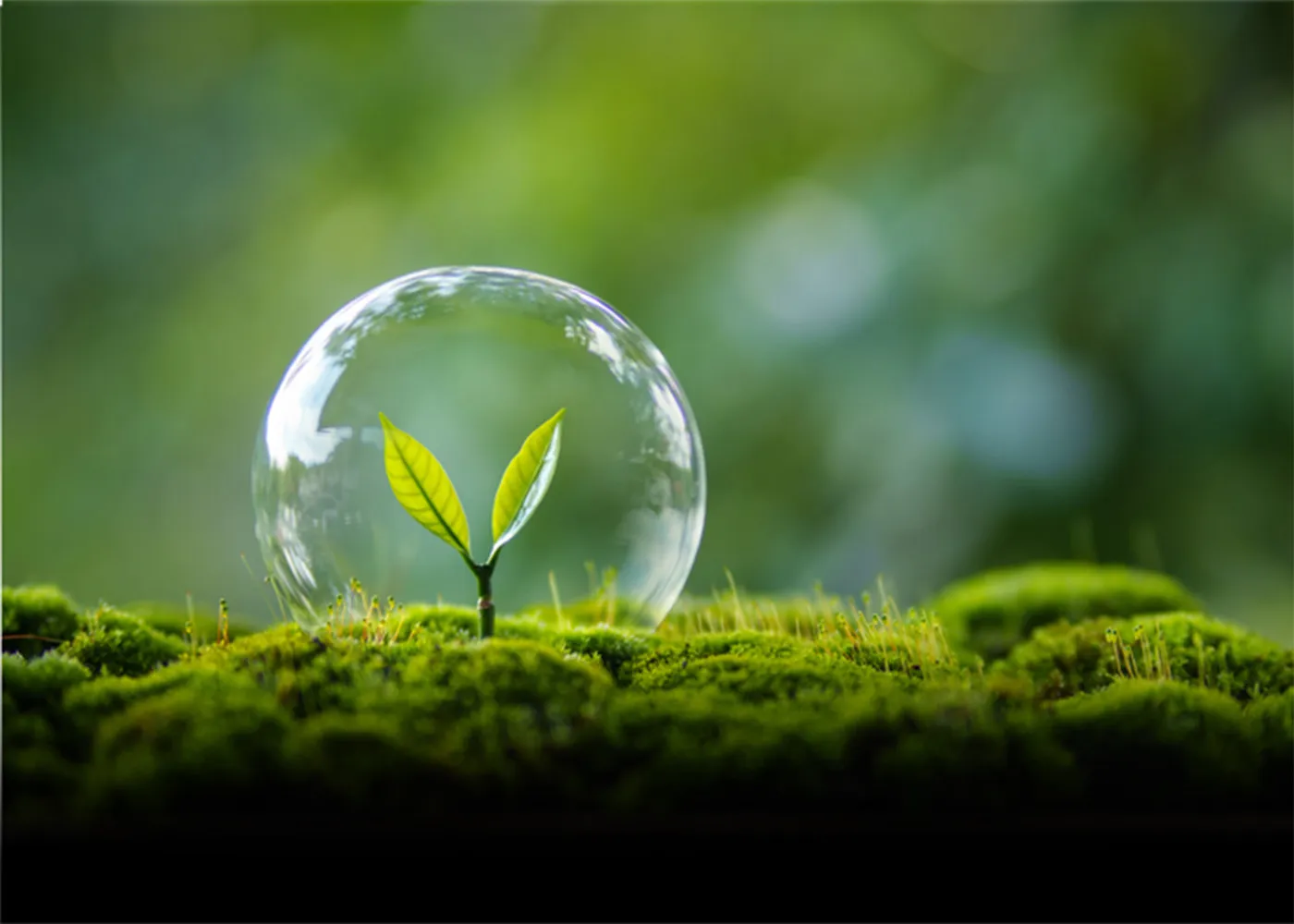 人と自然が共に成長する姿を象徴するイメージ