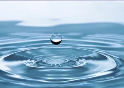 水面に広がる波紋 循環する水と自然のサイクル