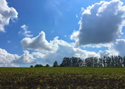 青空から降り注ぐ太陽光 自然エネルギーと再生可能エネルギー